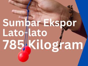 Sumatera Barat Ekspor Lato-lato 785 Kilogram